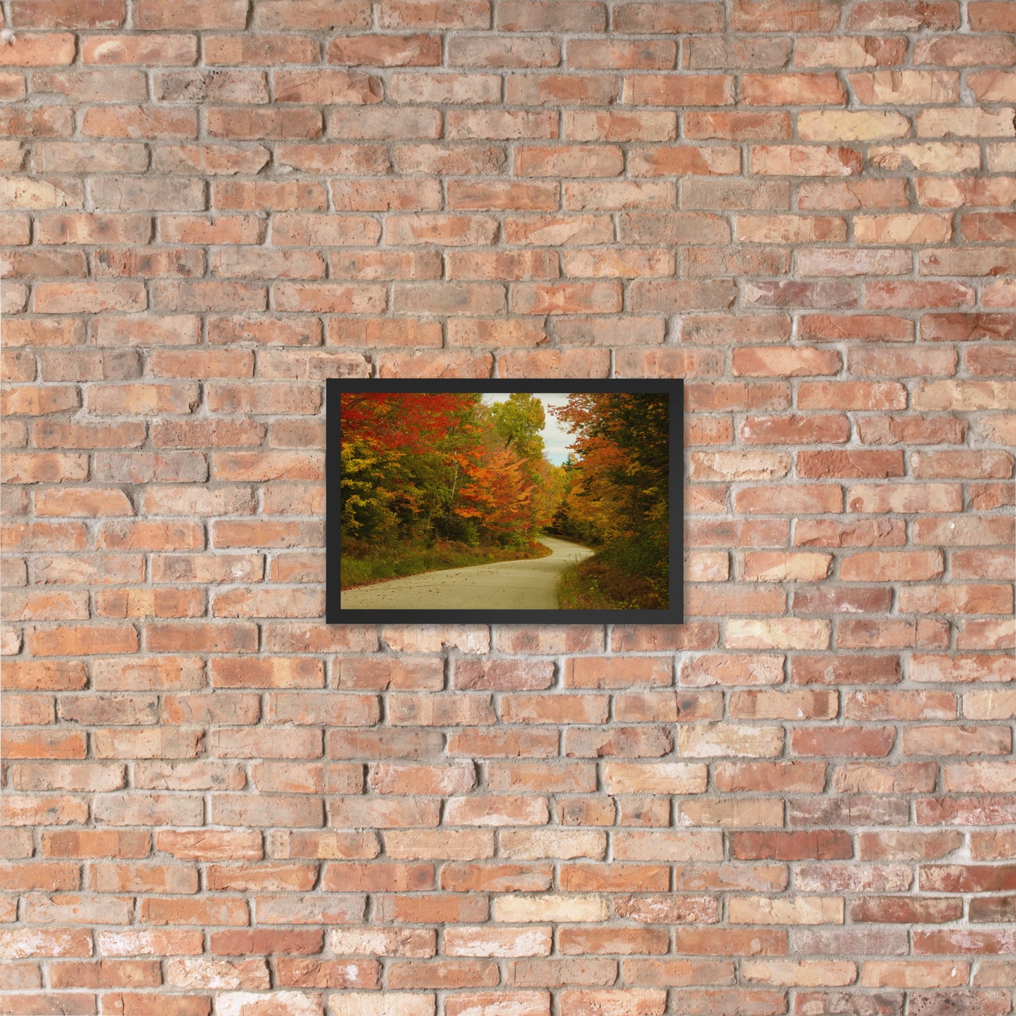 Fall Colors Wall Art