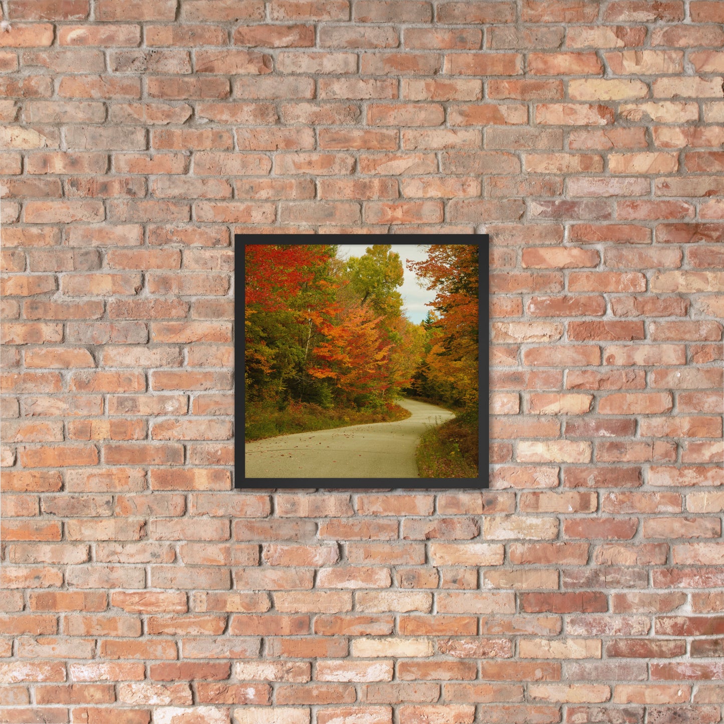 Fall Colors Wall Art