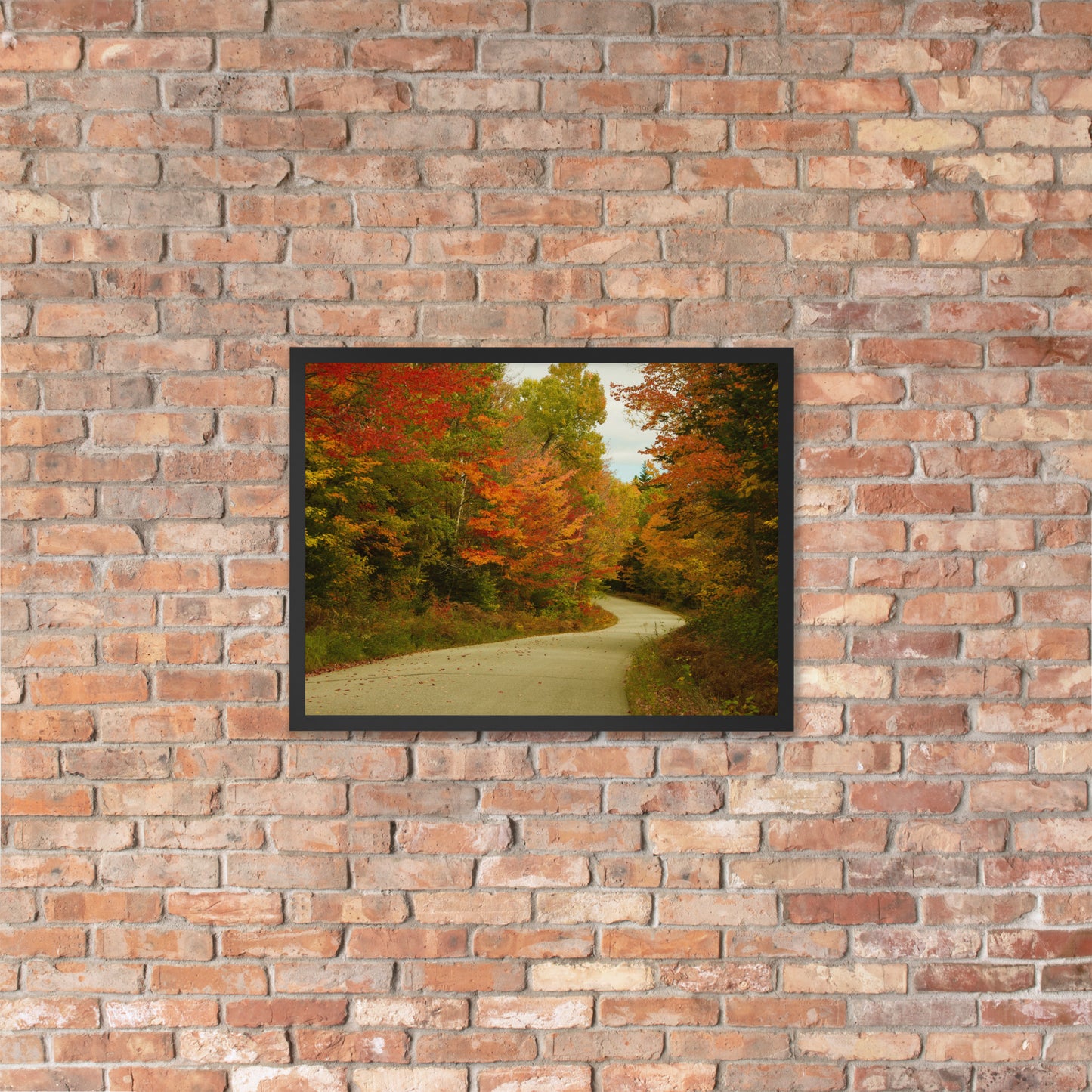 Fall Colors Wall Art