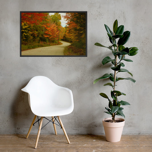 Fall Colors Wall Art