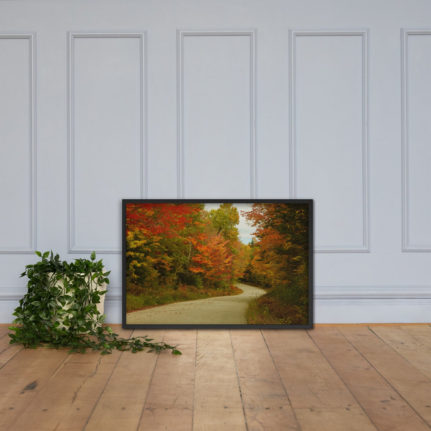 Fall Colors Wall Art