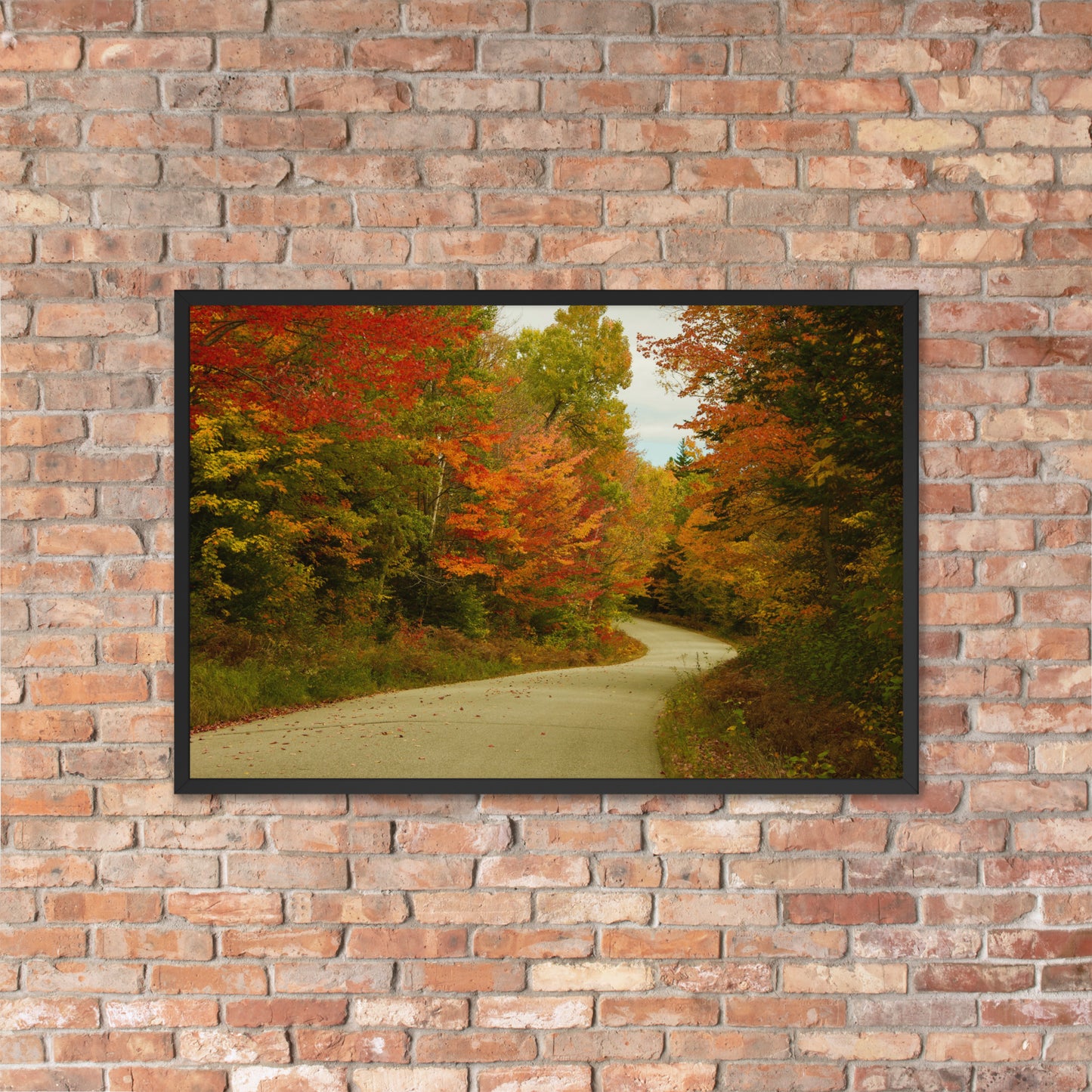 Fall Colors Wall Art