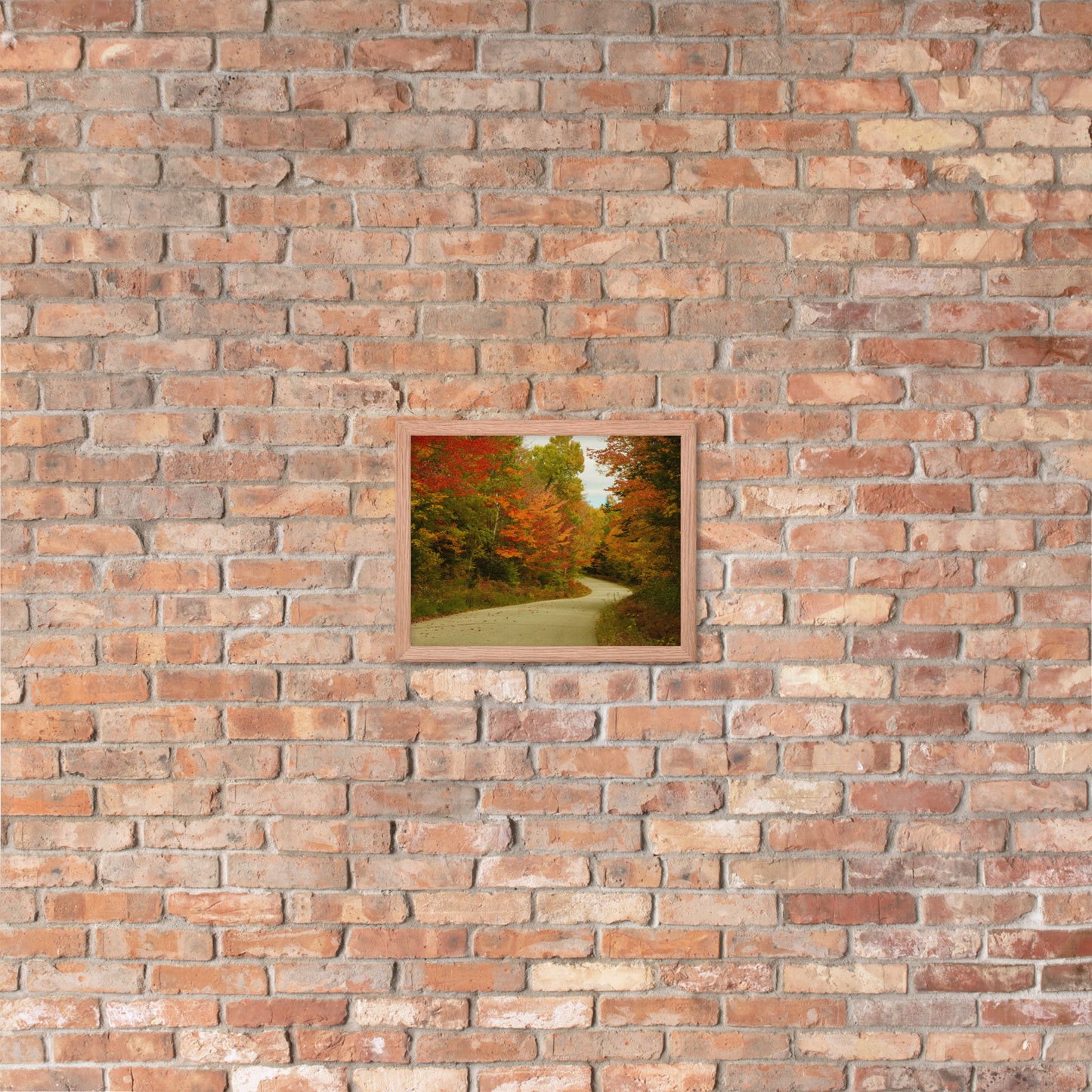 Fall Colors Wall Art