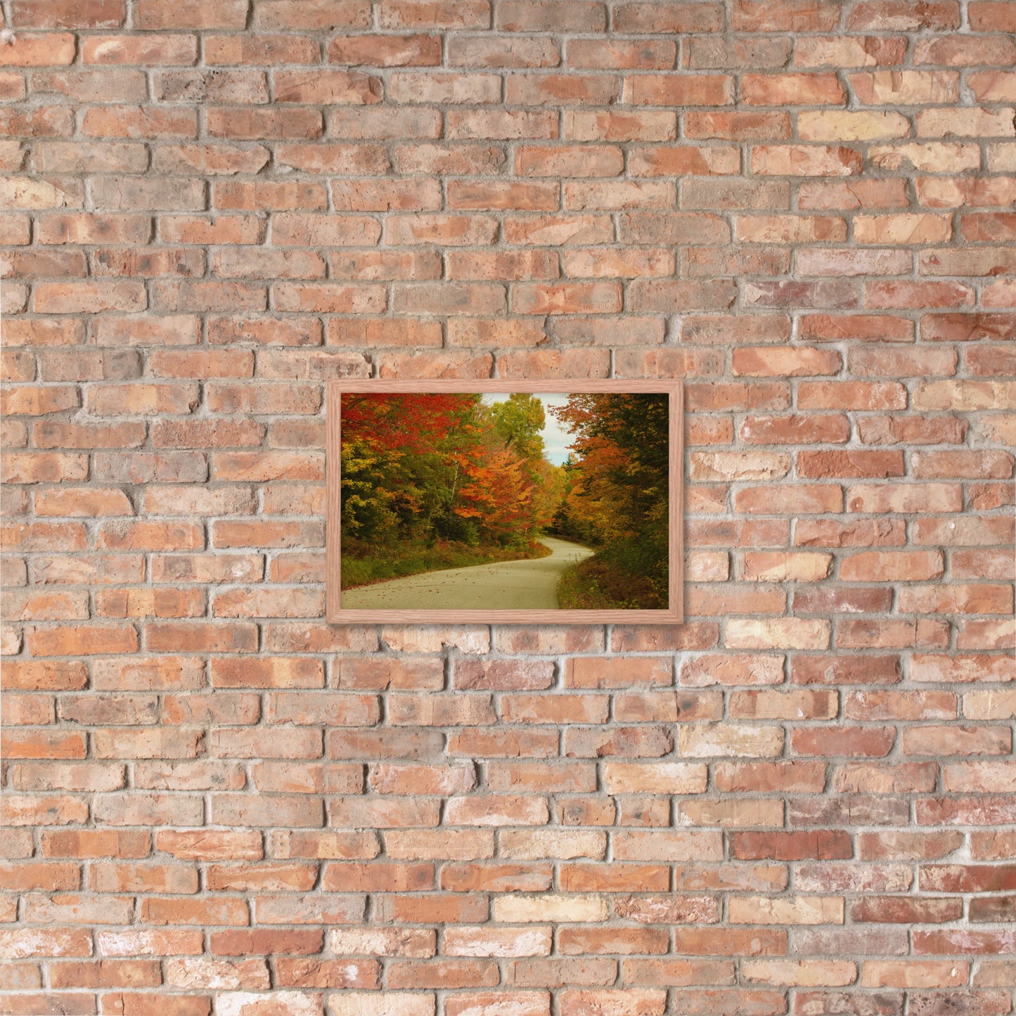 Fall Colors Wall Art