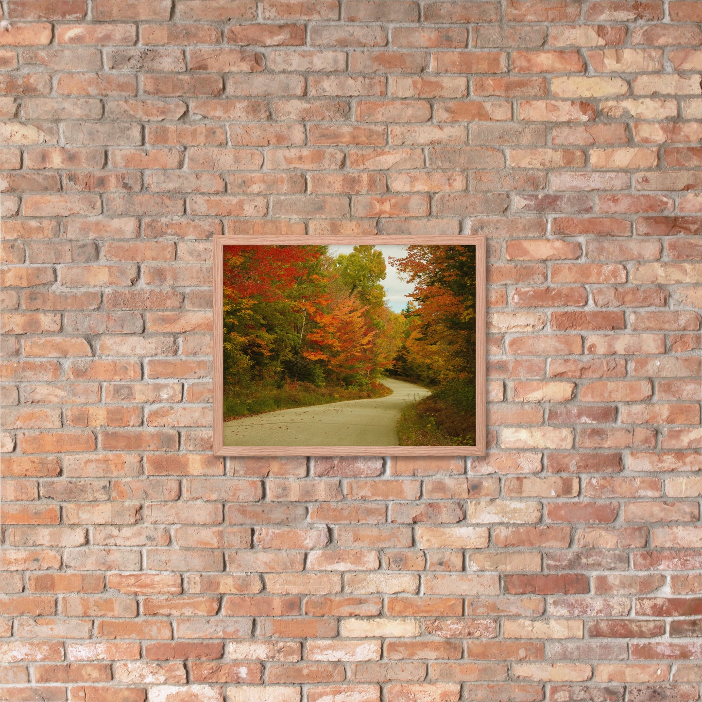 Fall Colors Wall Art