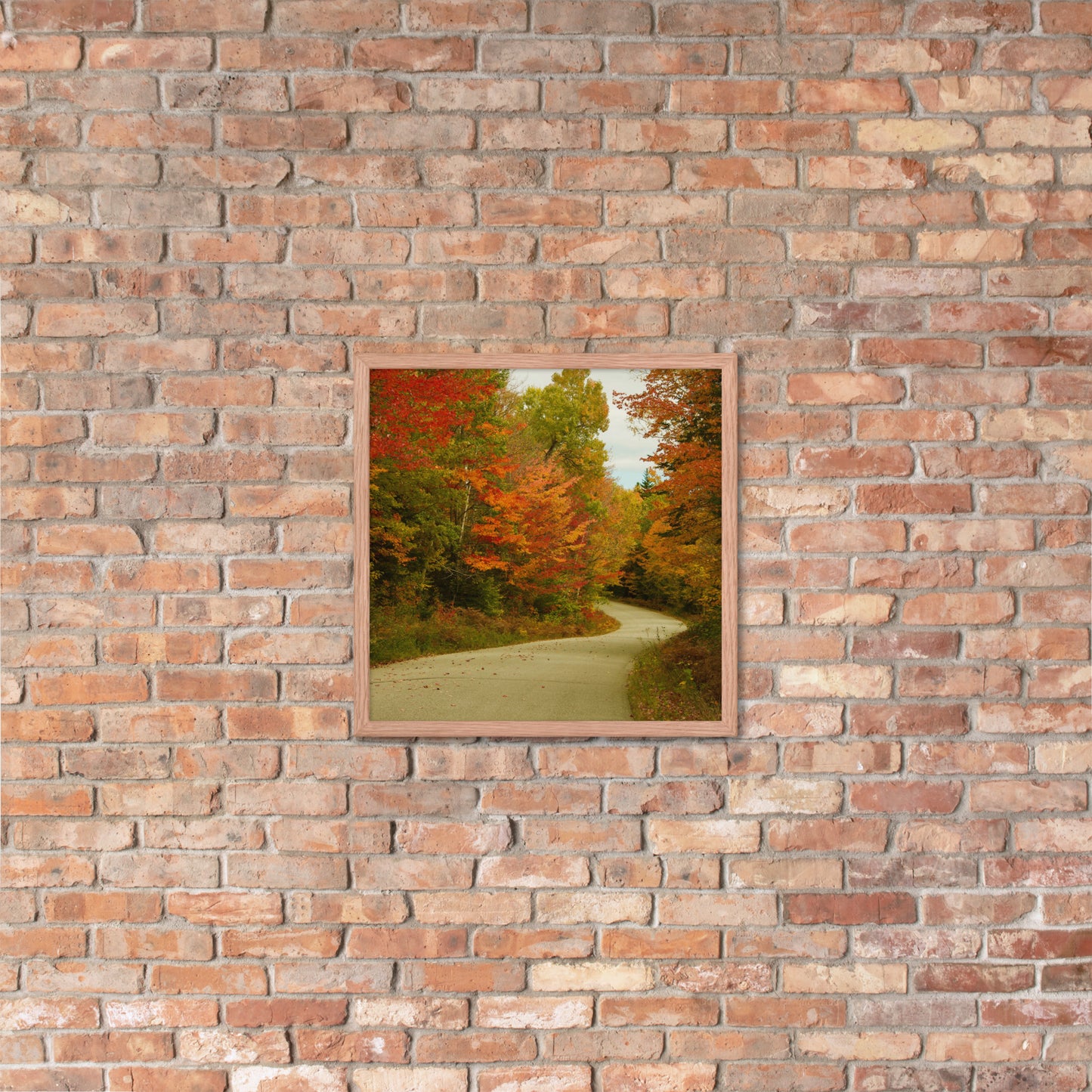 Fall Colors Wall Art