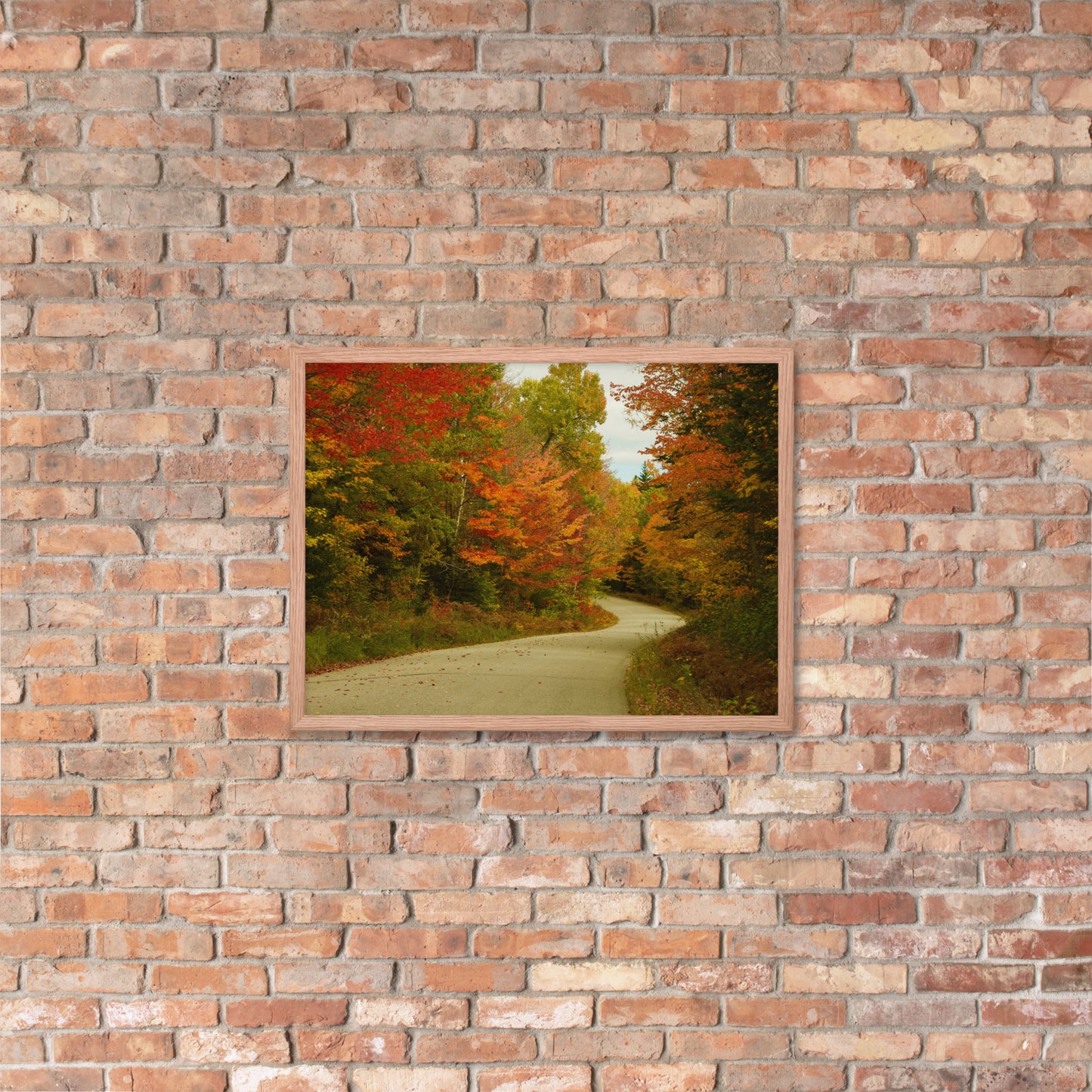 Fall Colors Wall Art