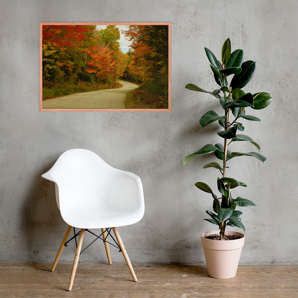 Fall Colors Wall Art