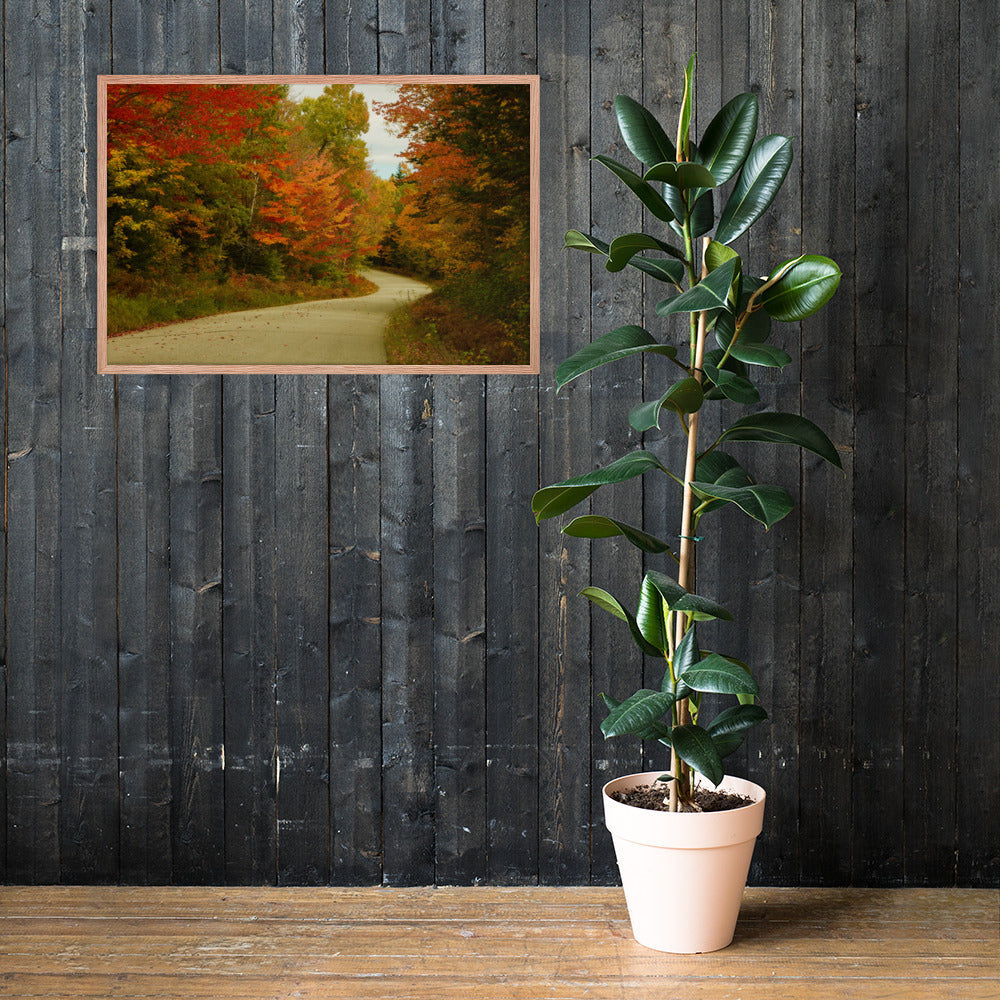 Fall Colors Wall Art