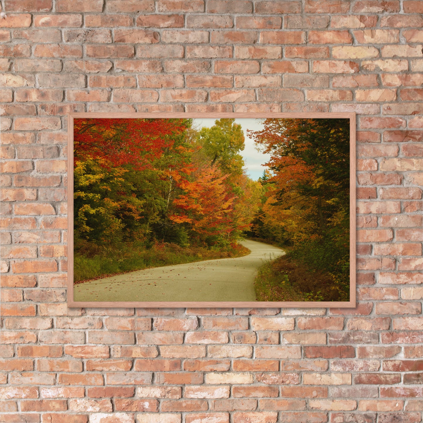 Fall Colors Wall Art