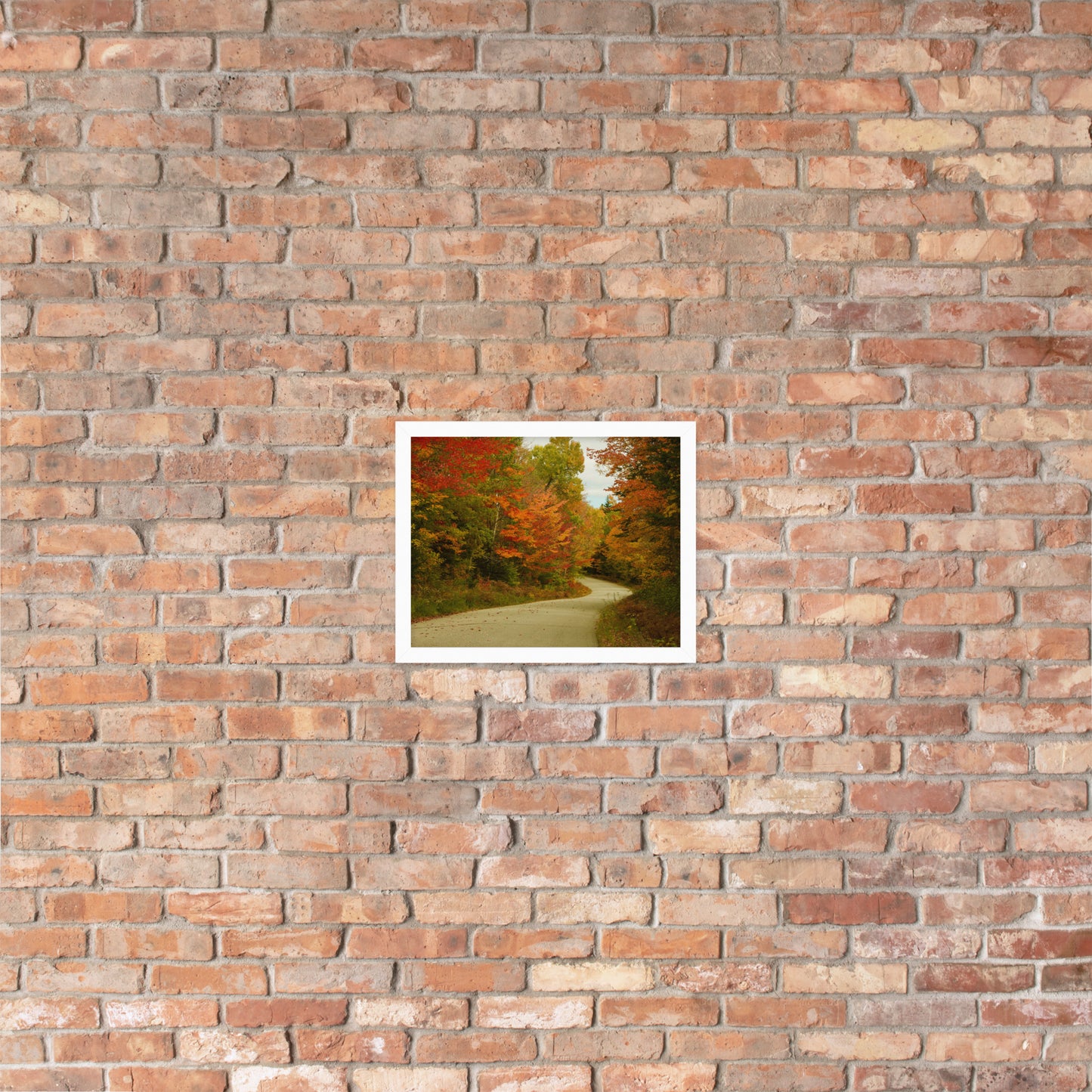 Fall Colors Wall Art