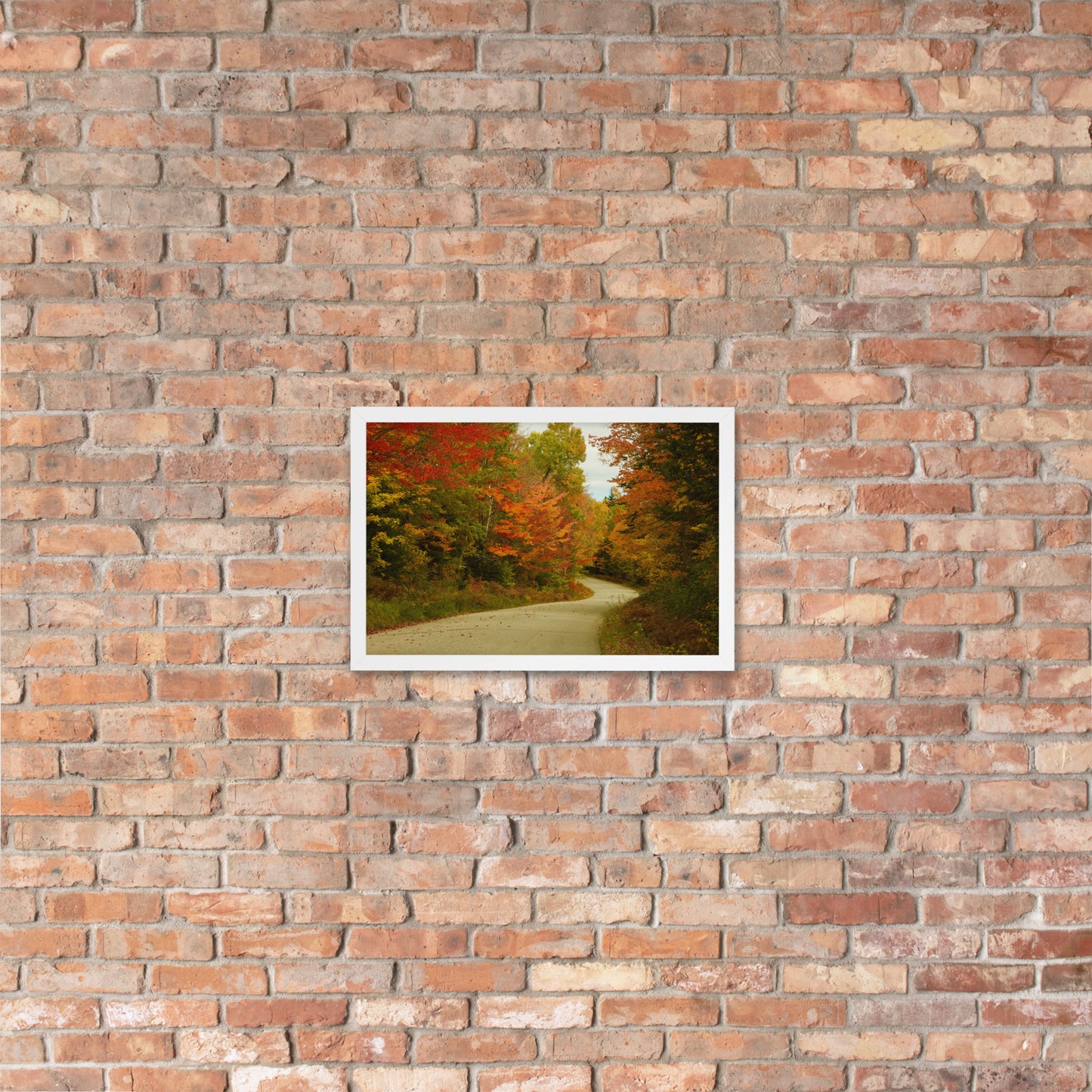 Fall Colors Wall Art