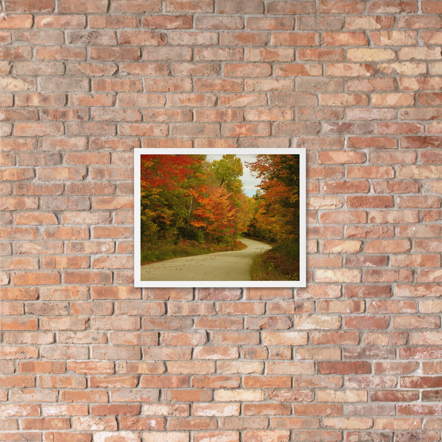 Fall Colors Wall Art