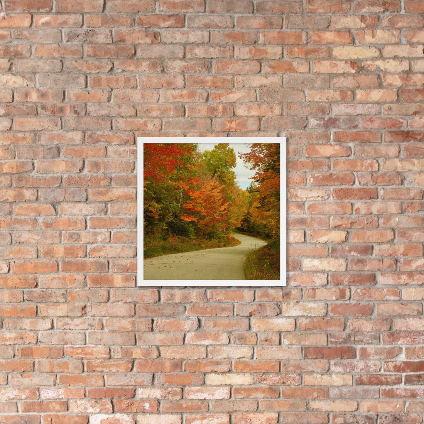 Fall Colors Wall Art