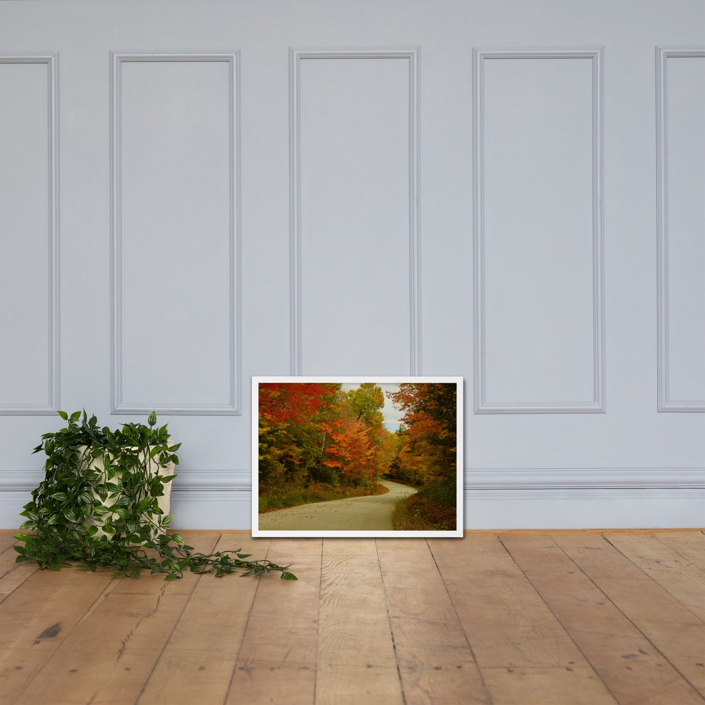 Fall Colors Wall Art