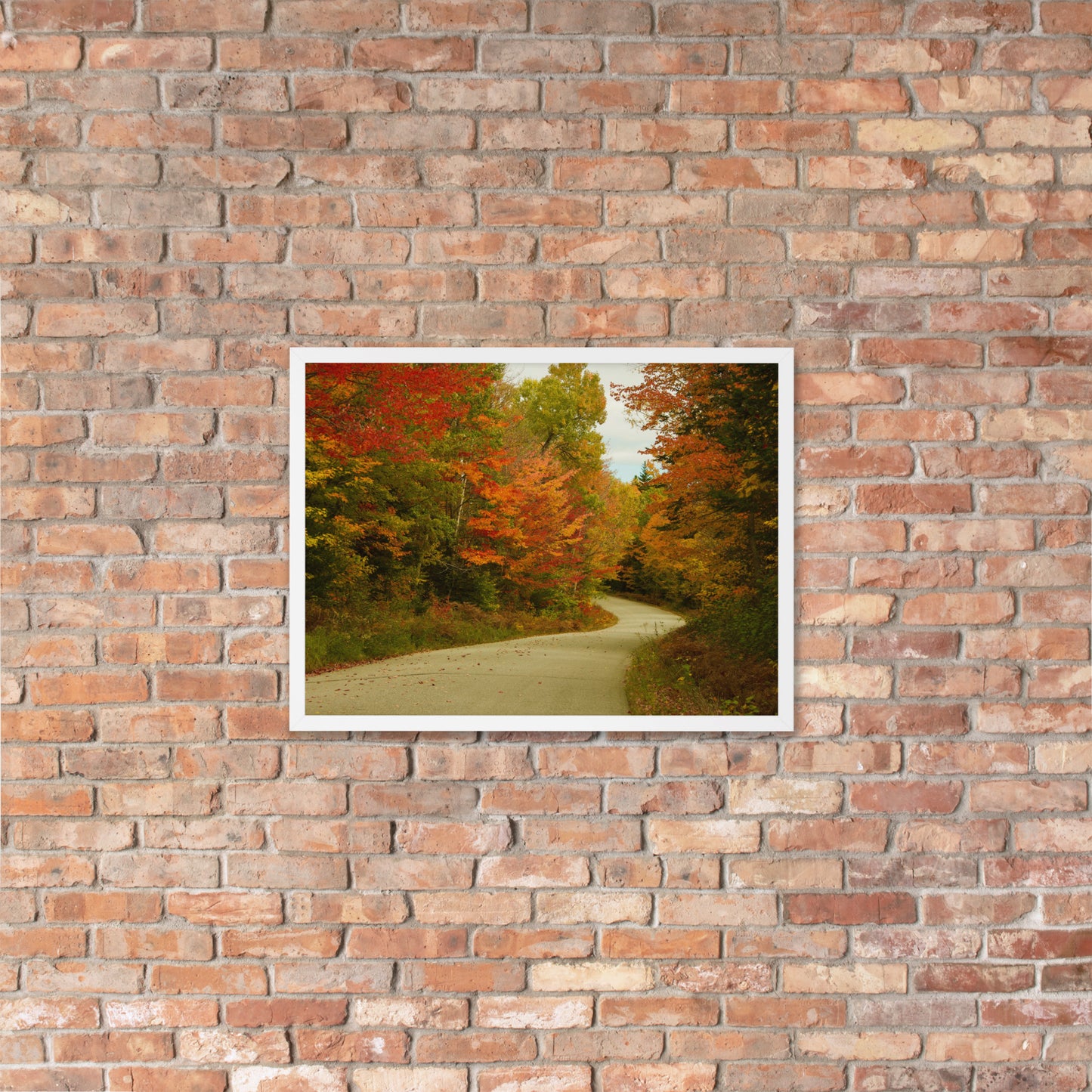 Fall Colors Wall Art