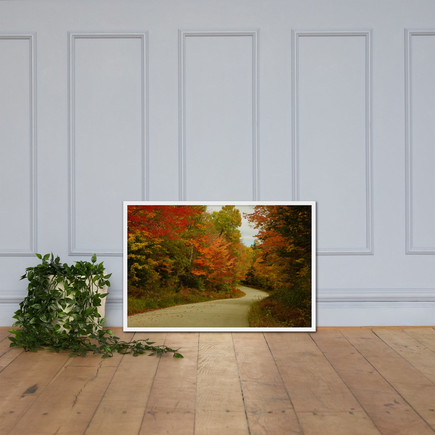 Fall Colors Wall Art