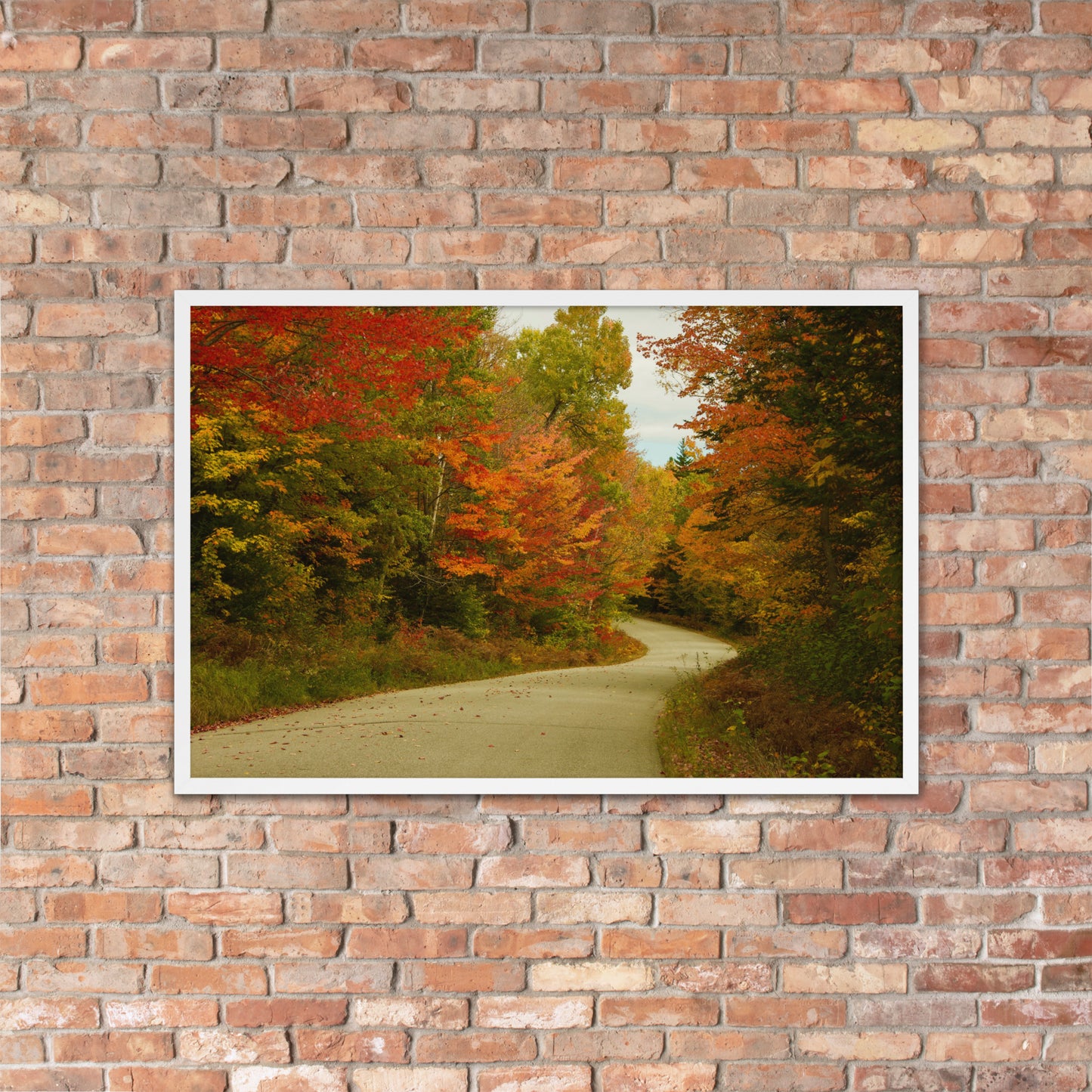 Fall Colors Wall Art